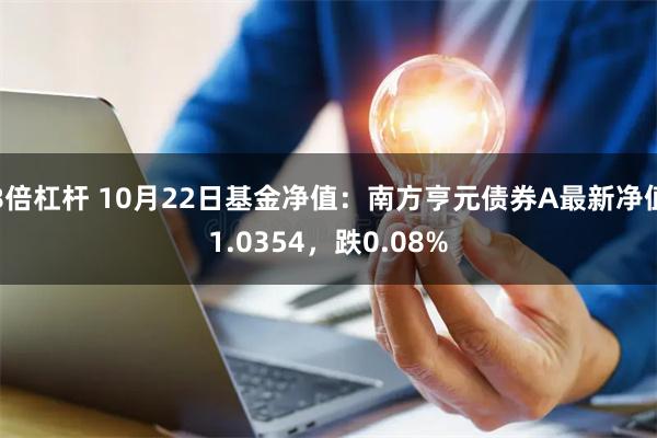 8倍杠杆 10月22日基金净值：南方亨元债券A最新净值1.0354，跌0.08%