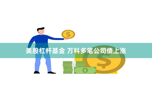 美股杠杆基金 万科多笔公司债上涨