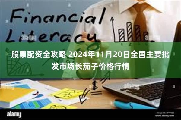 股票配资全攻略 2024年11月20日全国主要批发市场长茄子价格行情