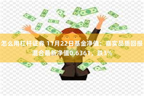 怎么用杠杆证券 11月22日基金净值：嘉实品质回报混合最新净值0.6361，跌3%