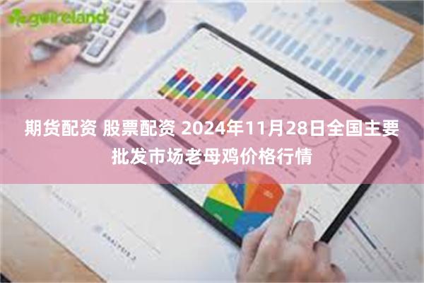 期货配资 股票配资 2024年11月28日全国主要批发市场老母鸡价格行情