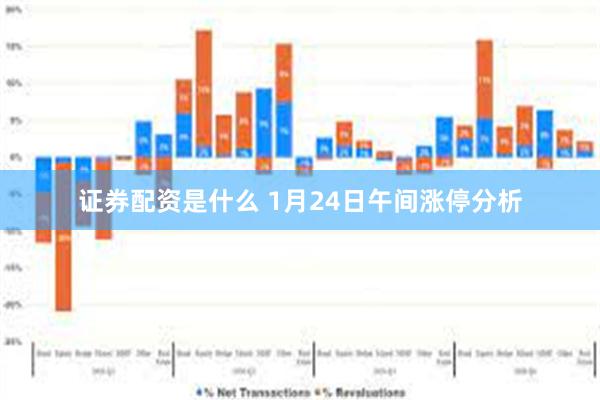 证券配资是什么 1月24日午间涨停分析